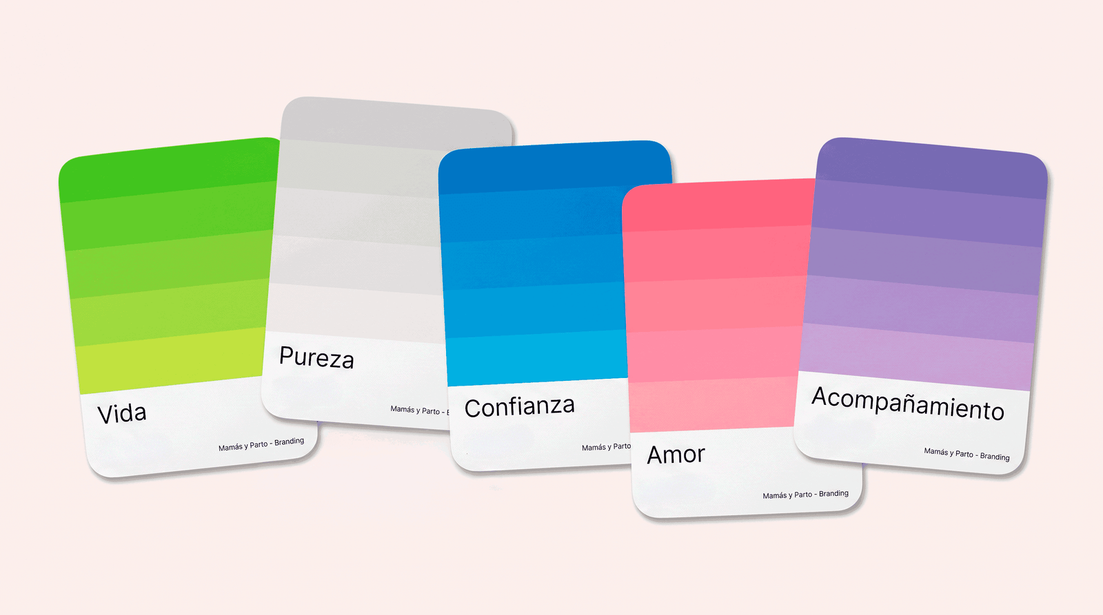 Tarjetas de la paleta de color de marca