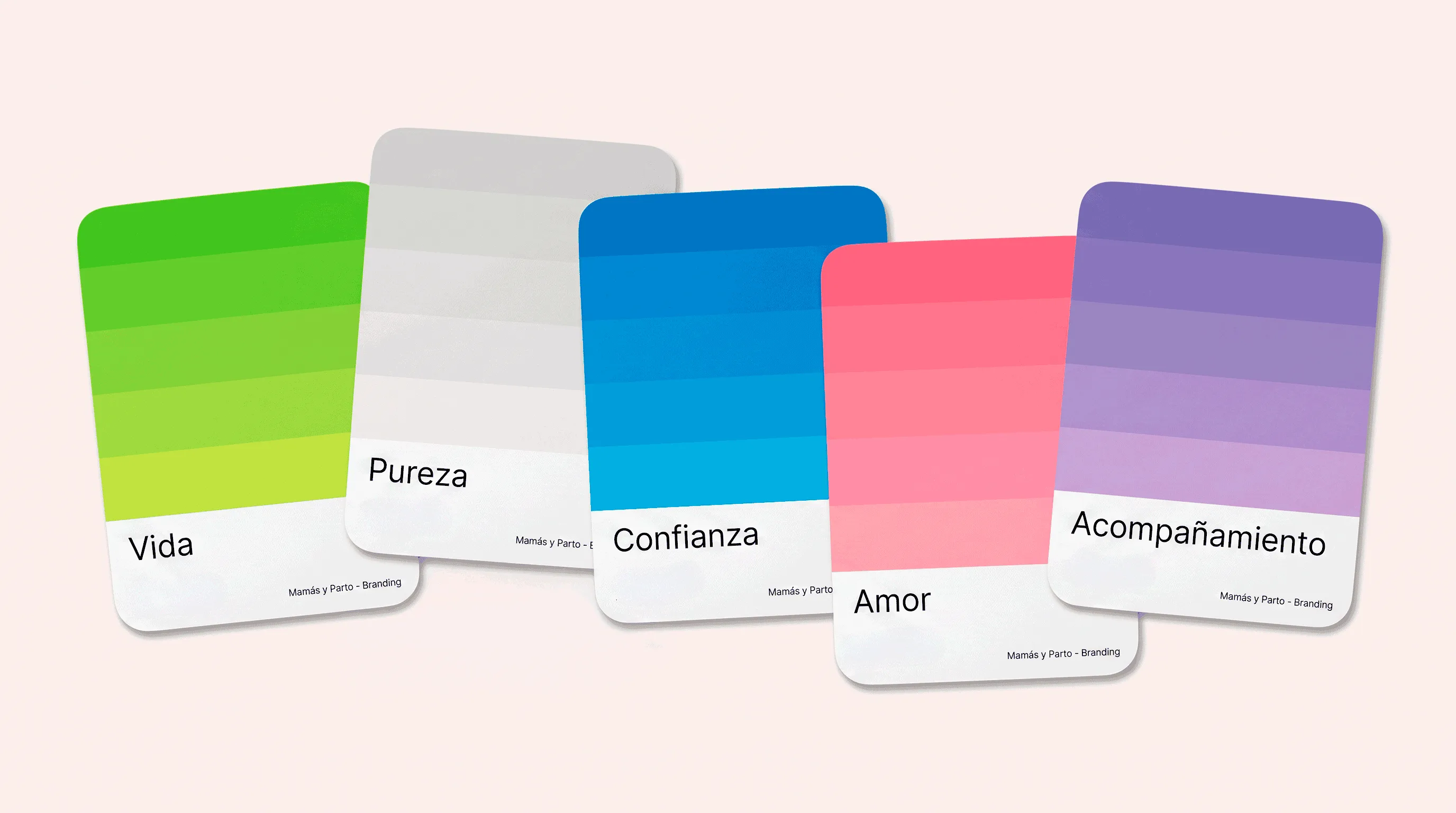 Tarjetas de la paleta de color de marca
